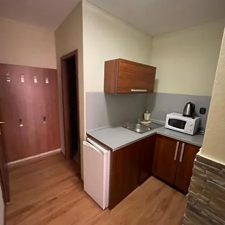 Tulip ゲストハウス 3*