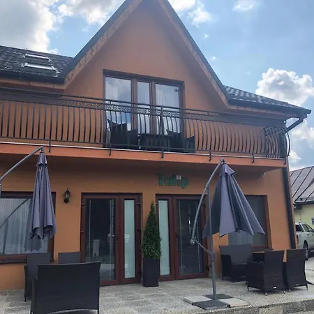 Tulip Červený Kláštor